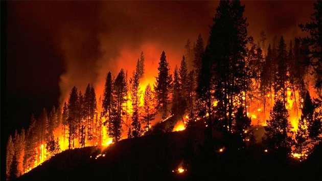 消防知識 丨 5種火災不能用水撲救，你知道嗎？